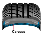 Tire Carcass Graphic